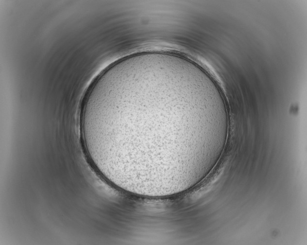 X0000090770843200708172106