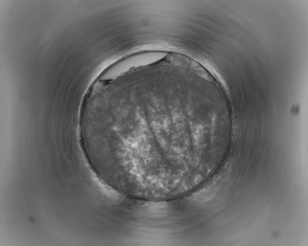 X0000090770845200708172106