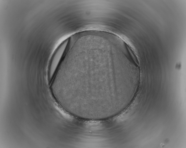 X0000090770846200708172106