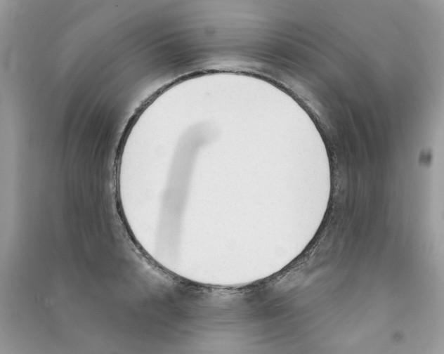 X0000090770848200708172106