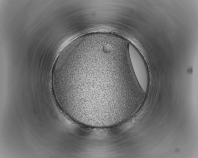 X0000090770850200708172106