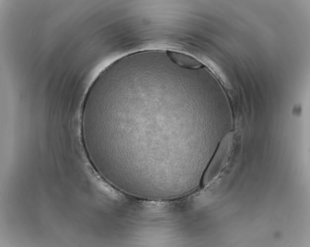 X0000090770854200708172106