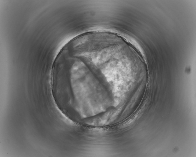 X0000090770855200708172106