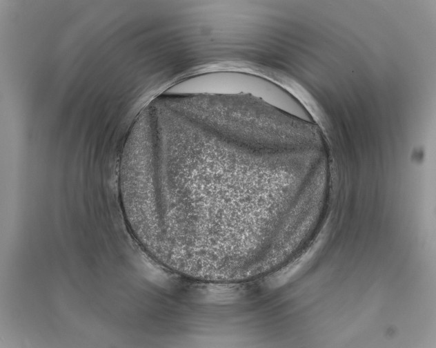 X0000090770857200708172106