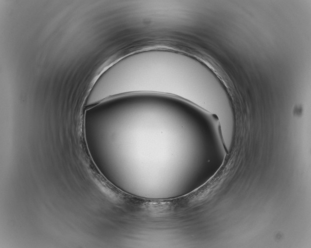 X0000090770858200708172106