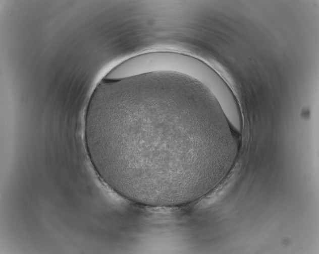 X0000090770862200708172106