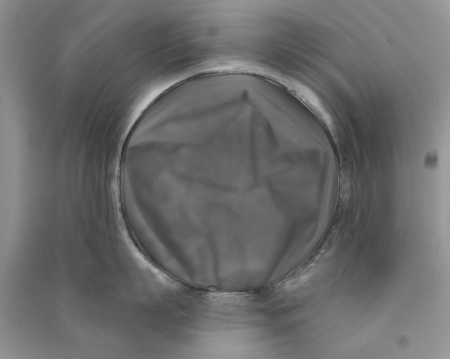 X0000090770863200708172106