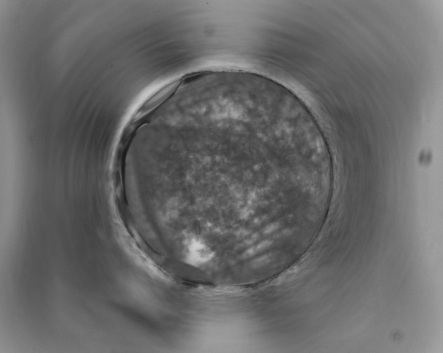 X0000090770864200708172106