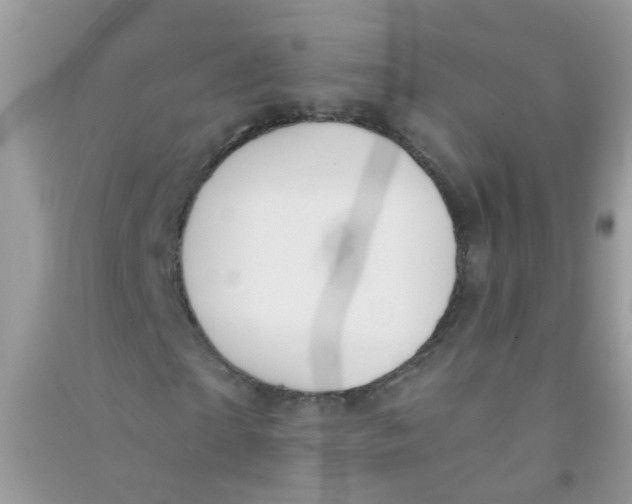 X0000090770865200708172106
