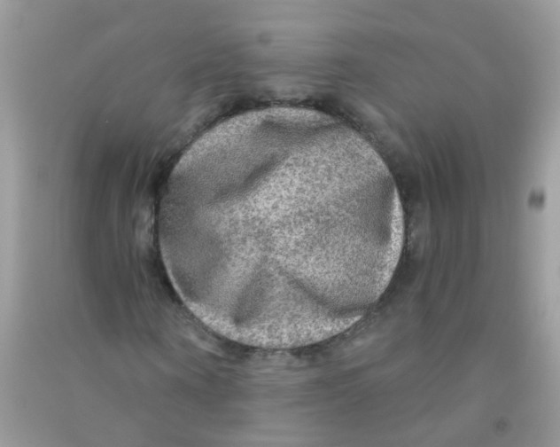 X0000090770866200708172106