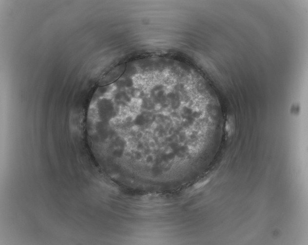 X0000090770867200708172106