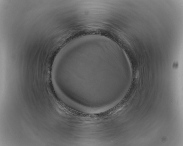 X0000090770868200708172106