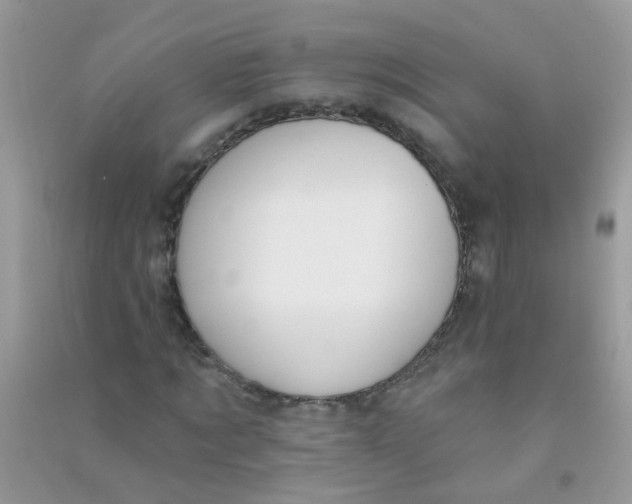 X0000090770869200708172106