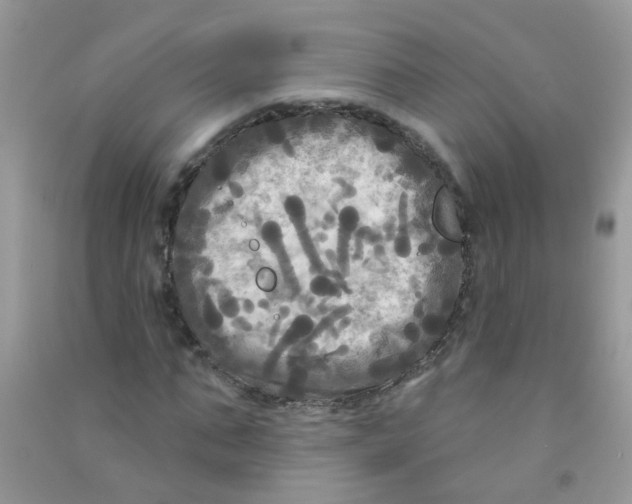 X0000090770871200708172106