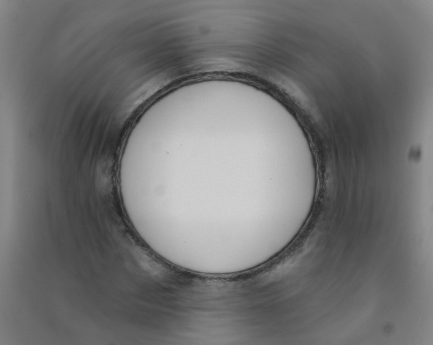 X0000090770873200708172106