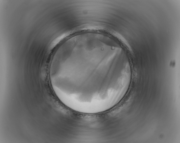 X0000090770874200708172106