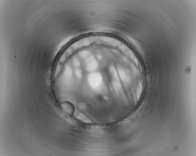 X0000090770875200708172106