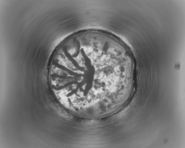X0000090770879200708172106