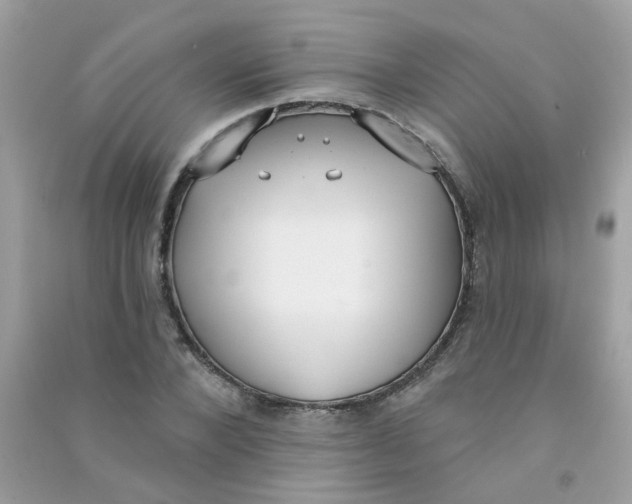 X0000090770880200708172106