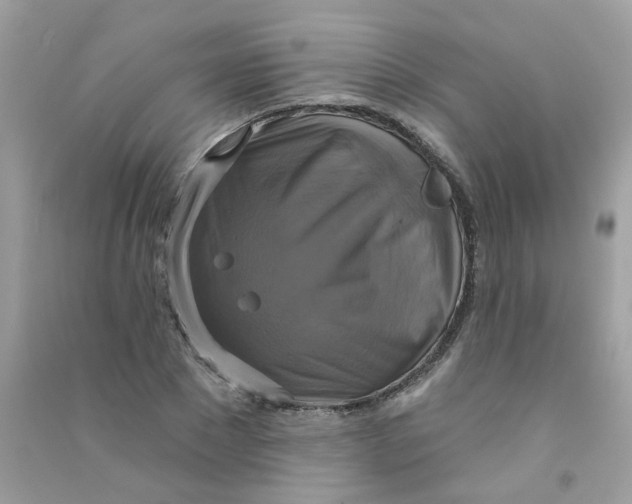 X0000090770881200708172106