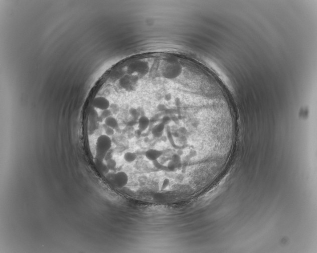 X0000090770883200708172106
