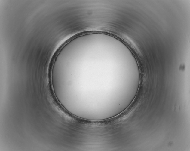 X0000090770884200708172106