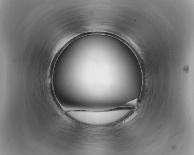 X0000090770885200708172106