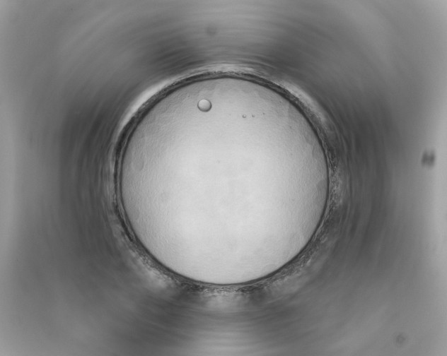 X0000090770886200708172106