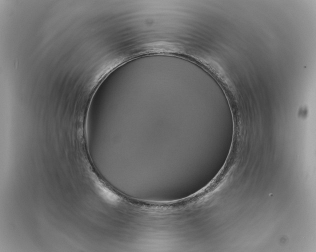 X0000090770889200708172106