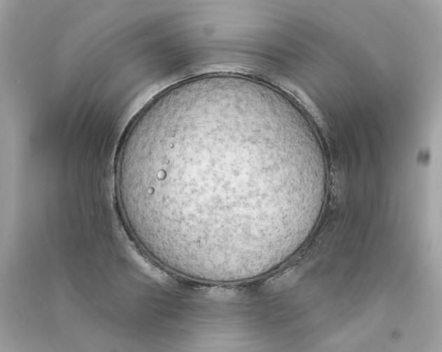 X0000090770890200708172106
