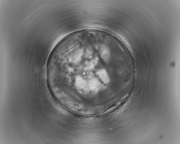 X0000090770891200708172106