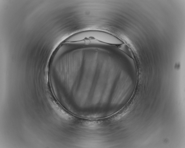 X0000090770892200708172106