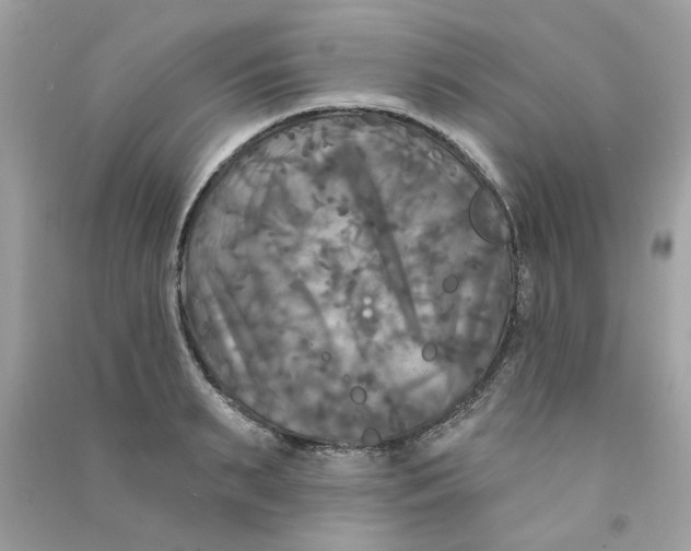 X0000090770895200708172106