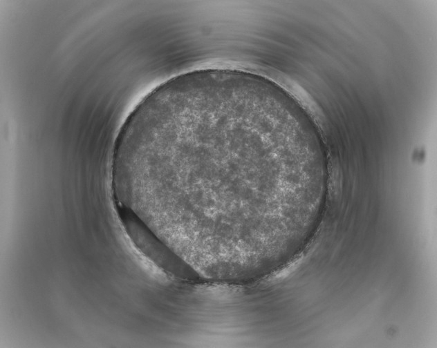 X0000090770896200708172105