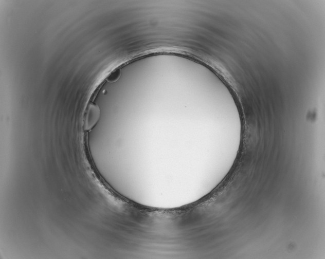 X0000090770898200708172105