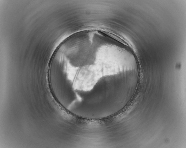 X0000090770899200708172105