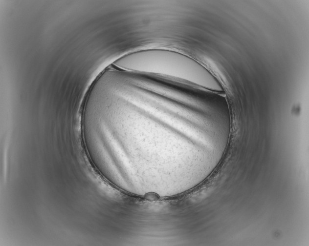 X0000090770900200708172105
