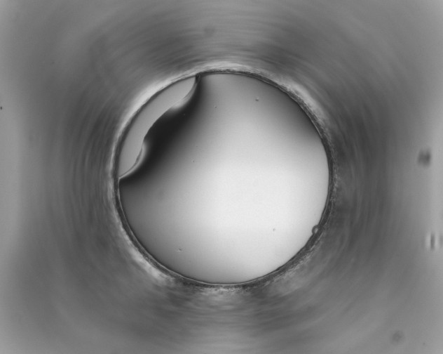 X0000090770902200708172105