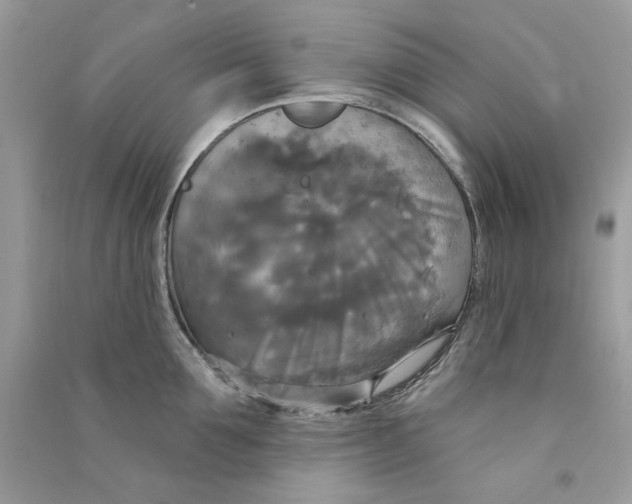 X0000090770907200708172105