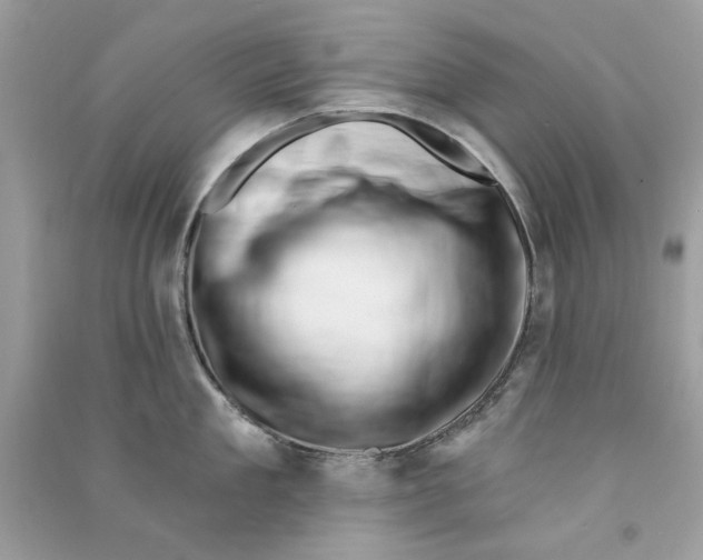 X0000090770909200708172105