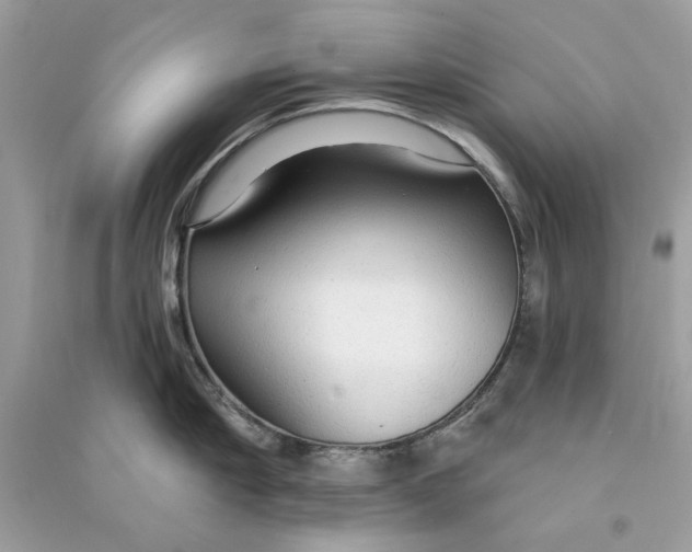 X0000090770910200708172105