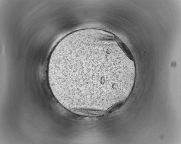 X0000090770912200708172105