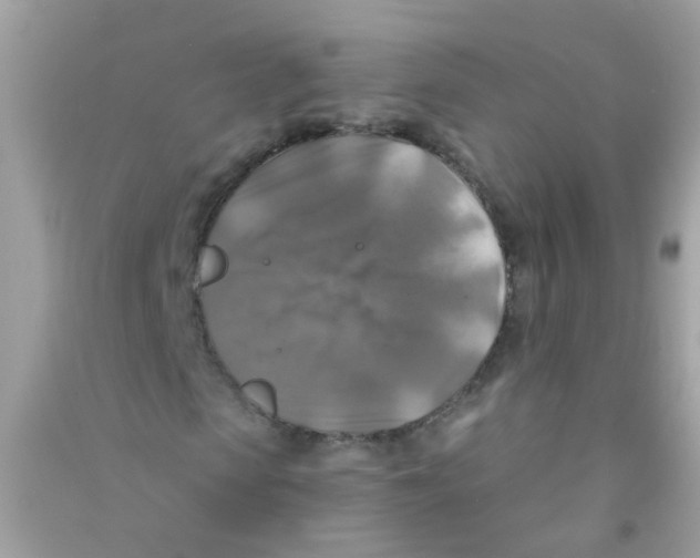 X0000090770913200708172105