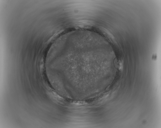 X0000090770915200708172105