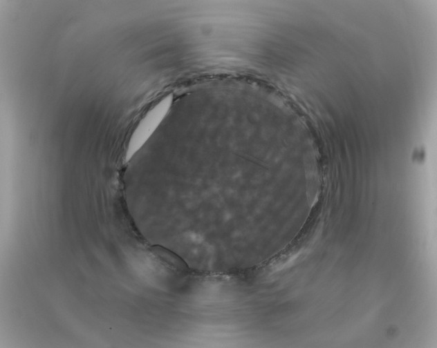 X0000090770916200708172105