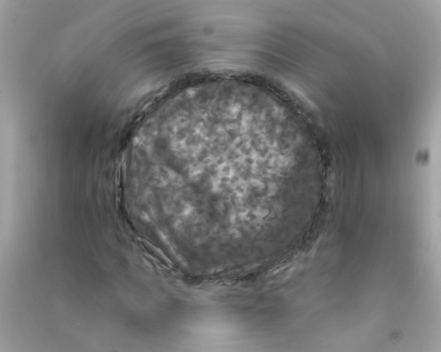X0000090770917200708172105