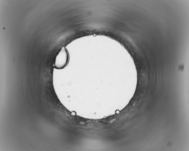X0000090770918200708172105
