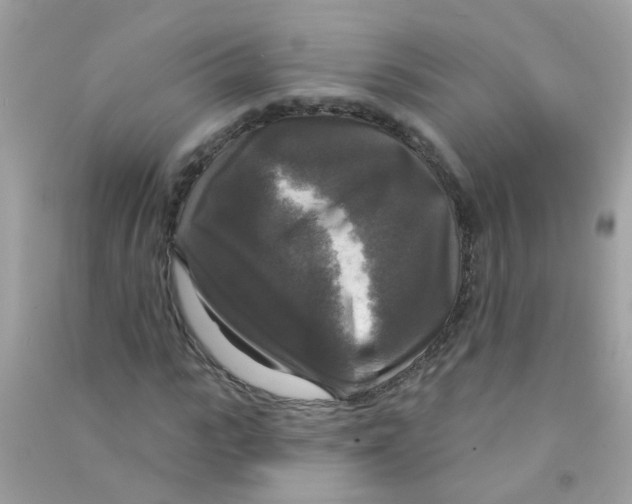 X0000090770919200708172105