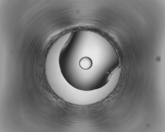X0000090770920200708172105