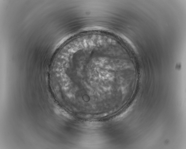 X0000090770921200708172105
